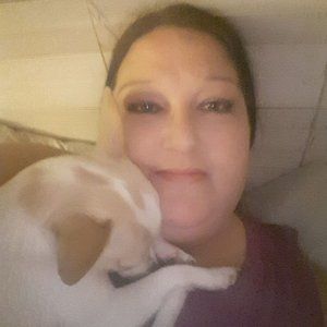 Meet your Posher, Michele